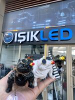 Pitbull Köpek Figürü
